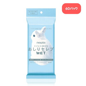 lsA ZuWET łp 12y10pbN/60pbNzP[X̔ gCɗ   V[g gCbgy[p[ EGbg^Cv g gїp ӂ  