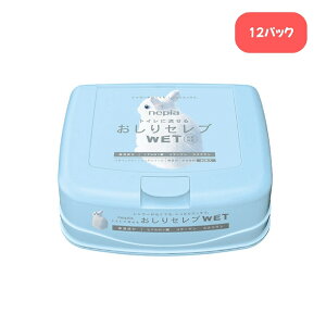 lsA ZuWET { 40×12RyP[X̔zgCɗ  ӂ  V[g gCbgy[p[ EGbg^Cv SgɎg ӂ  Ԃ V