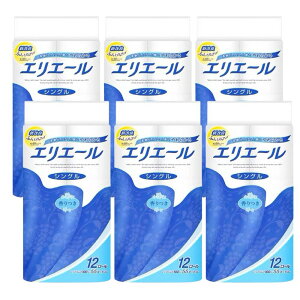 GG[ gCbgeBV[ VO bNX̂鍁 55m×12[×6ZbgyP[X̔zgCbgy[p[ VO c Ɩp gCbg y[p[ Ɩp  