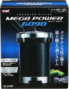 WFbNX Kp[6090 ߑu