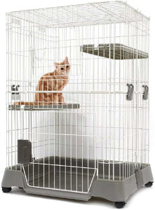 L Lbg P[W 2i LX^[ty}J LeBP[W 1000 O[ CT-324zLbg P[W Â `` P[W LbgP[W 2i Xebv2i LP[W L Lbg P[W y