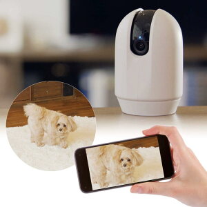  J gтŌyJ h 360° U ^  JzybgJ J b ł J ybg  Ck hbO L lR Lbg Ԃ x