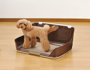  p gCg[ M M[TCY ChTCY uE IX gC Ǖt EH[g[ юUh~ bVt ̂t h~ gCg[ {rAR