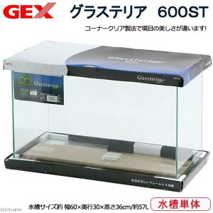  KX 60cm 60cm Mы Ϗ܋ 琅 ANA  Zbg IuWF ANAE ANAEpi ANApi GEX WFbNX