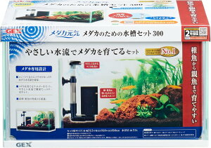 _J _Jp  Zbg KX 30cm 30cm _J Zbg  t e Y t琬 _Jp   RpNg ANAE ANAEpi A