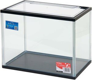  KX KX KX RpNg RpNg ^ ^ t[ t[ ubNt[ Mы Ϗ܋  ANAE ANAEpi ANApi H