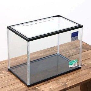  KX KX KX RpNg RpNg ^ ^ ӂt t^t ubNt[ Mы Ϗ܋  ANAE ANAEpi ANApi H|