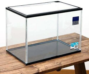  KX KX KX 40cm 40cm ubNt[ t[ Mы Ϗ܋  Vv ANAE ANAEpi ANApi H|