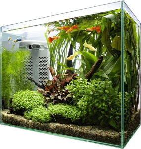  Zbg KX KX KX tB^[ tB^[ tB^[t t[X t[X Mы Ϗ܋  Vv ANAE ANAEpi AN