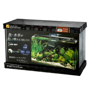 H| OX F]600SH/B LED Zbg