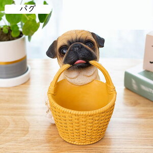 ���̒u�� ���u���h�[�� �p�O ���킢�� �����[ ���֎��[ ���u�� �C���e���A�G�� �����[ ���� ���@�\���[ �����R��/�L�����f�B�[�ȂǏ������[ �C���e���A ������� �ʔ��� �V���v�� �a����