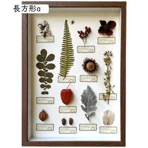 �t�H�g�t���[�� ���̊z �{�b�N�X�t���[�� ���� �N���A�t���[�� �z�� �����K���X �h���C�t�����[ �W�{�� �t�B�M���A�P�[�X ���������� �a���� �����j�� �ސE�j�� �����`a 22*22*4.5cm