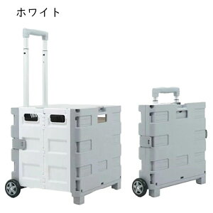 �܂肽���݃R���e�i �܂肽���݃L�����[�J�[�g �t�^�t�� 2�� 4�F ����� ��� �É� �o���L�����[ �܂��ݎ� ���O�L�����v���[�{�b�N�X ���O�܂肽���ݎ��[�{�b�N�X �g���ȒP �y�� ���O 