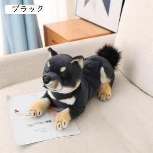 �Č� �ʂ������ ���A���ʂ������ �� �������� ���킢�� �{���������� �H�c�� ��������� �u�� ���� �C���e���A �\�t�@�[���� �q���̓� �v���[���g �N���X�} ���蕨 �a���� �B�e���� ���f��