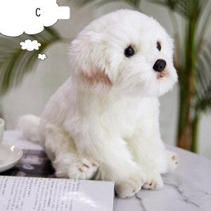 �ʂ������ �� ��������� �{���������� ���A�� �ё����� �Y���Q�� �������� �����܂��� �l�` �ӂ�ӂ� ���ӂ��� �t�@�b�V���� �������� �B�e �G�� ���ʉ� ���Əj�� �q�� ���̎q �j�̎q A 3