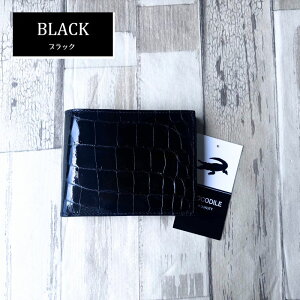 No3010 ubN×ubN VC񃓃O NR_C z Y ܂z { VCjONR