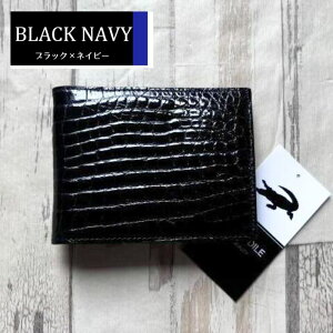 No21013 ubN×u[ VC񃓃O NR_C z Y ܂z { VCjONR