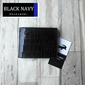 No21014 ubN×u[ VC񃓃O NR_C z Y ܂z { VCjONR