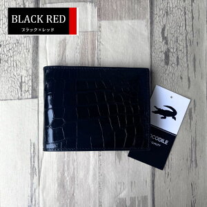 No20026 ubN×bh VC񃓃O NR_C z Y ܂z { VCjONR