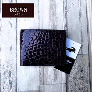 No2501 uE VC񃓃O NR_C z Y ܂z { VCjONR