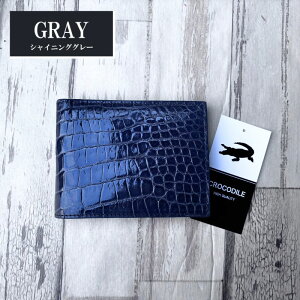 No2801 O[ VC񃓃O NR_C z Y ܂z { VCjONR