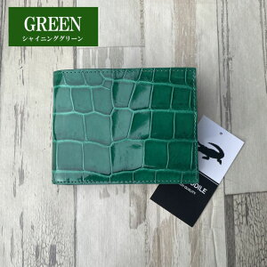 No24037 O[ VC񃓃O NR_C z Y ܂z { VCjONR