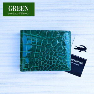 No24041 O[ VC񃓃O NR_C z Y ܂z { VCjONR