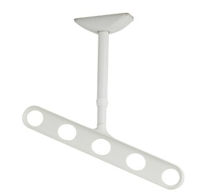 ����Z�� ���V�p�z�X�N���[�� ZAN-0450-PW �s���A�z���C�g ��1�Z�b�g2�{����