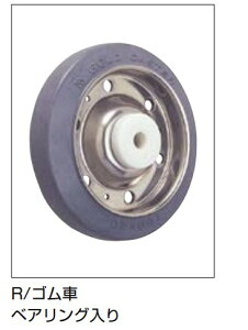 �X�e�����X�|���L���X�^�[ SUS-SJ�^ �v���[�g�^�C�v �u���[�L�t D100 �ԗ֐F:�O���[/�z���C�g/�_�[�N�u���E���@�ԗ�:�S��/�S��(B��)/�|���A�~�h/�|���A�~�h(B��)/�E���^��(B��) �X�K�c�l�H��