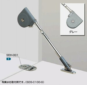 XKcl v LAMP \tg_EXe[ SDS-C100-GyLb`tzyO[z