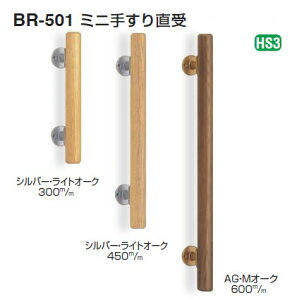 p⏕肷 ~j肷蒼 yBR-501z d: Vo[ECgI[N/AGEMI[N TCY: 800/600/450/300 VN}