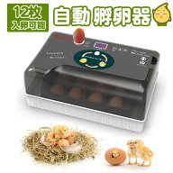 【1点5%OFF・2点15％OFF】自動孵卵器 大容量 12枚入卵 恒温孵化器 日本語説明書付きインキュベーター 小…