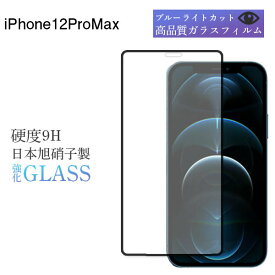 iPhone 12 pro max フィルム iPhone12 promax ガラスフィルム 画面フィルム 保護フィルム ガラス 保護 ブルーライトカット 強化ガラス iPhone12Promax アイフォン アイフォン12 プロマックス アップル Apple