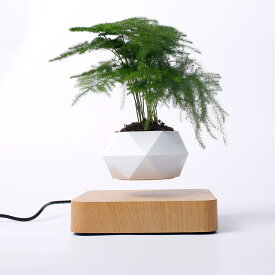 「ポイント還元率5%」磁気浮上 植木鉢 360度回転 おしゃれ 浮遊植物ポット 屋内用 浮遊回転植木鉢 磁気植物ポット Floating Flowerpot フローティング フラワーポット プランター 空中浮遊 インテリア 装飾 ホームデスク装飾 リビングルーム オフィス バー 誕生日プレゼント