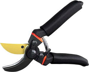 ΂ }؂΂ SK-5n |nT~  Yf| Kтɂ K[fjO }؂ ʎ//~  |pi