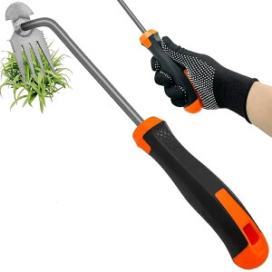 u10OFFN[|zzvG 蓹 GuV c[ 蓮c[  K[fjOpi p GƔ 뉀AA_̎Ĝ߂̃fA