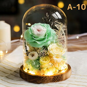 u10OFFN[|zzvvU[h t[ ͂Ȃ  a  Mtg KN hCt[ t[ MtgKXh[ LEDCg ̂ aFB ̓ӂN