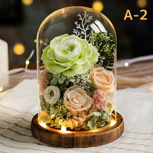 u10OFFN[|zzvvU[h t[ ͂Ȃ  a  Mtg KN hCt[ t[ MtgKXh[ LEDCg ̂ aFB ̓ӂN