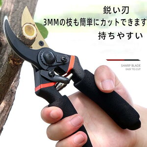 u10OFFN[|zzv΂ |p͂ oT~ lC yt߁z Kтɂ SK85Yf|n ₷nh | }ł