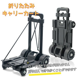 u10OFFN[|zzvL[J[g ܂肽 RpNg y gѕ֗ AEghA 4 