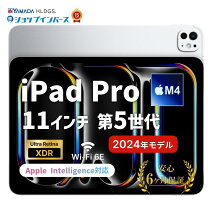 楽天市場】ipad pro 11インチ wi－fi ＋ cellular 256gbの通販