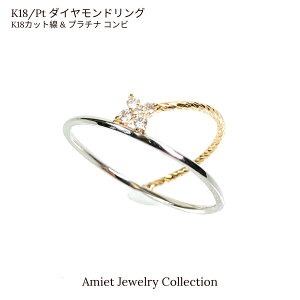 K18 �v���`�i900 �_�C�������h�����O ���f�B�[�X�W���G���[ ������ꃊ���O �l�����w ���w �w��13�� ���{�� �ؚ� ���i����