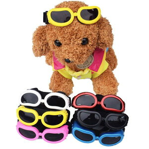 ゴーグルメガネ　サングラス　紫外線対策　白内障予防　小型犬用メガネ　ゴーグル