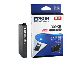 EPSON純正インク　IB09KB　ブラック大容量