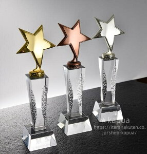 28*8cm NX^gtB[ StRy 싅 eXg D Г\ FΏ IWi gtB[ 