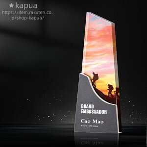 25*10cm DgtB[ gtB[ ϔ v[g ꒤ Tv Mtg gtB[ DJbv _ MVP NX^gtB[ IWi StRy