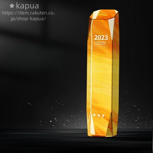 24*5cm DgtB[ gtB[ ϔ v[g ꒤ Tv Mtg gtB[ DJbv _ MVP NX^gtB[ IWi StRy