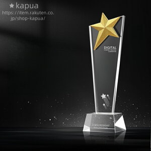 優勝トロフィー トロフィー 化粧箱入り プレート 名入れ彫刻 サンプル ギフト トロフィー 優勝カップ メダル MVP クリスタルトロフィー オリジナル ゴルフコンペ