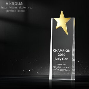 20*8cm DgtB[ gtB[ ϔ v[g ꒤ Tv Mtg gtB[ DJbv _ MVP NX^gtB[ IWi StRy