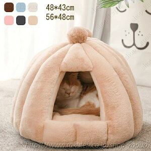 LnEX h[^ ybgxbh H~p ybgnEX NbVO\ Lp LbgnEX gnEX 薰 􂦂 ΍ ybgpi Lp ^p